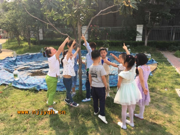 QQ图片20170527113033.jpg