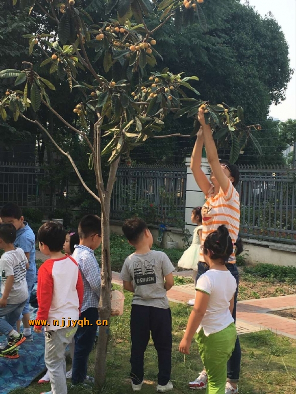 QQ图片20170527113028.jpg