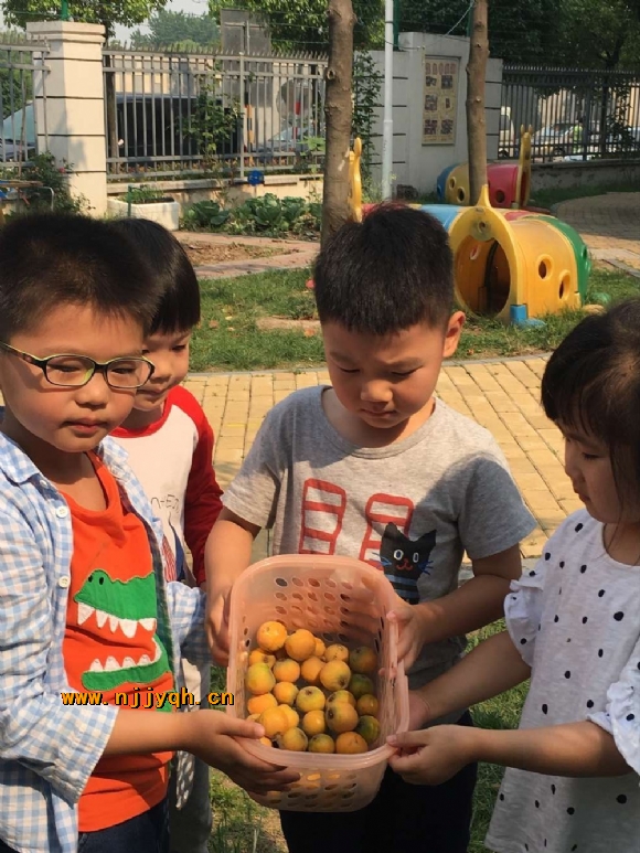 QQ图片20170527113023.jpg