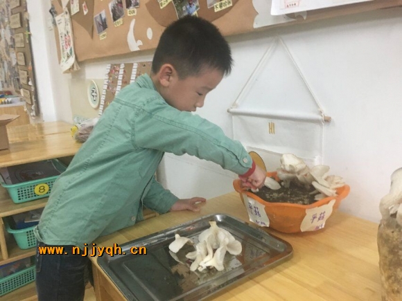 QQ图片20171012200554.jpg