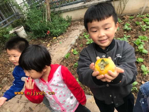 QQ图片20171023094558.jpg