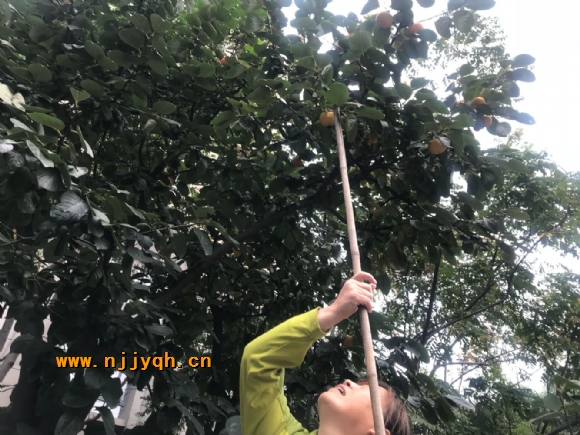 QQ图片20171023094524.jpg