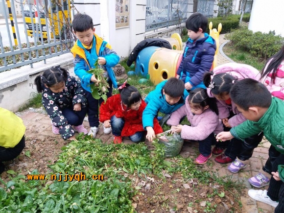 QQ图片20180306220028.jpg