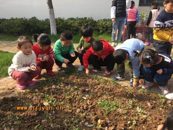 QQ图片20180319154057.jpg