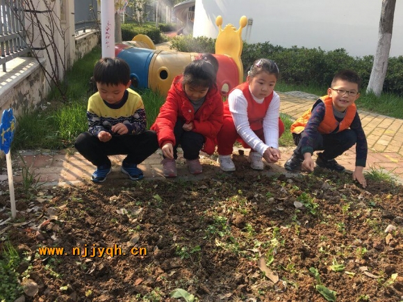 QQ图片20180319154113.jpg