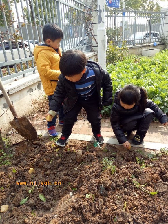 IMG20180308101646.jpg