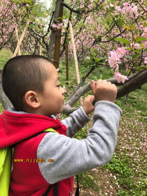 QQͼƬ20180402142352.jpg