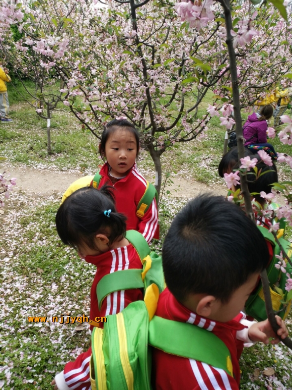 QQ图片20180402154645.jpg