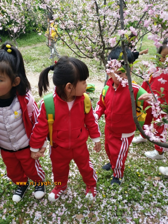 QQ图片20180402154359.jpg