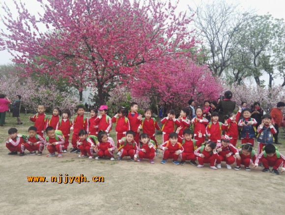 QQ图片20180402154651.jpg