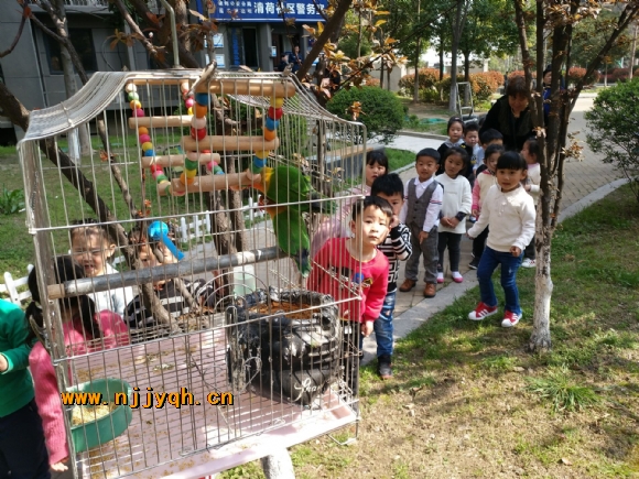 QQ图片20180402162357.jpg