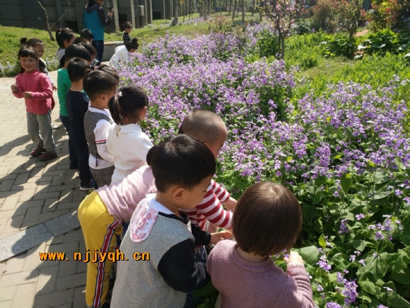 QQ图片20180402162352.jpg