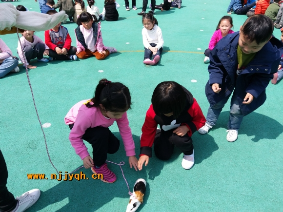 20180326_114324.jpg