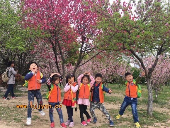 QQ图片20180402200402.jpg