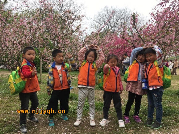 QQ图片20180402200425.jpg