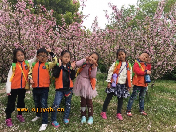 QQ图片20180402200417.jpg