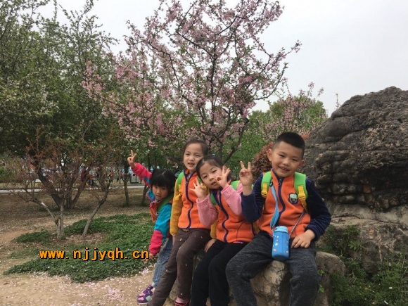 QQ图片20180402200454.jpg