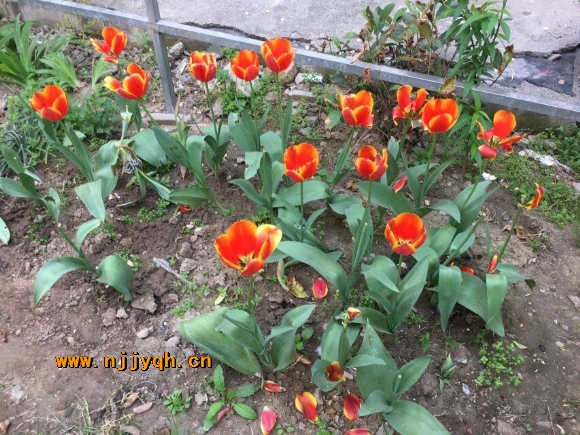 QQͼƬ20180409090926.jpg