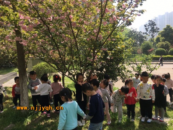 QQͼƬ20180412155327.jpg