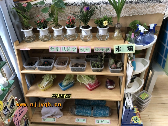 QQͼƬ20180413103913-.jpg