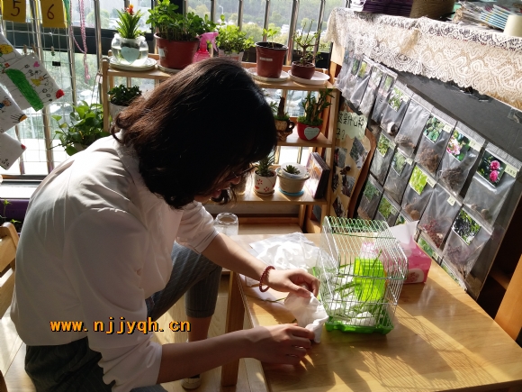 20180411_080304.jpg
