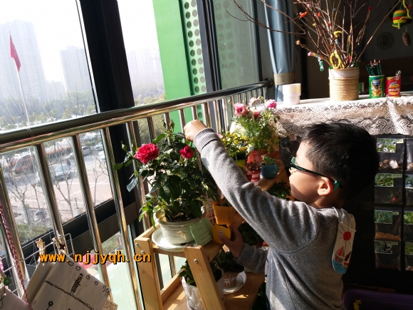 20180327_091114.jpg