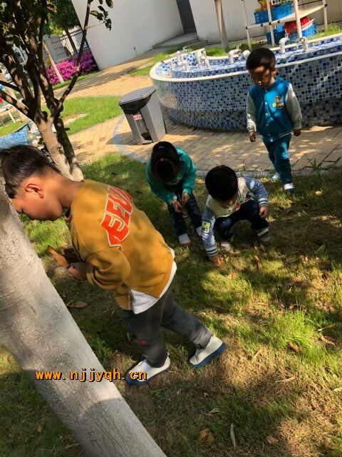 QQͼƬ20180428152414.jpg