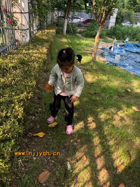 QQͼƬ20180428152406.jpg