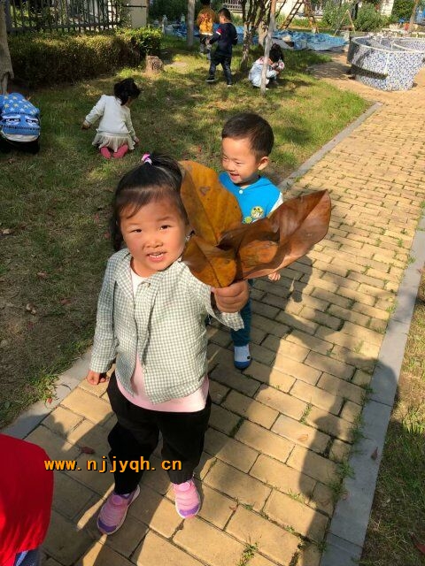 QQͼƬ20180428152519.jpg