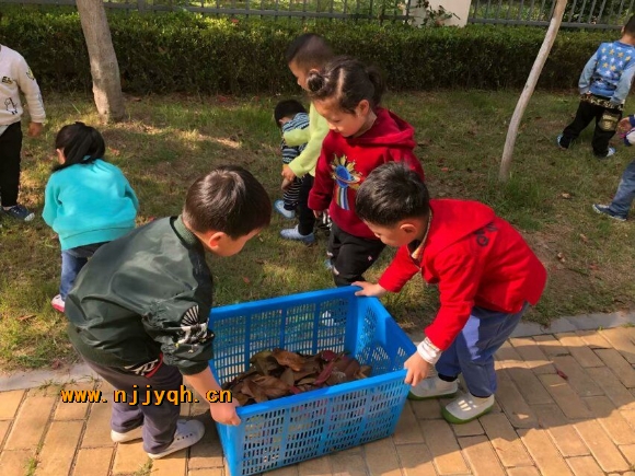 QQͼƬ20180428152348.jpg