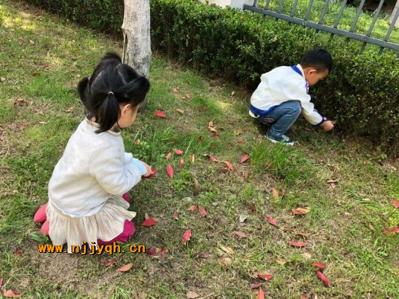 QQͼƬ20180428152420.jpg
