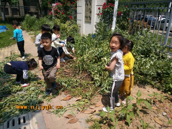 IMG_20180503_112719.jpg