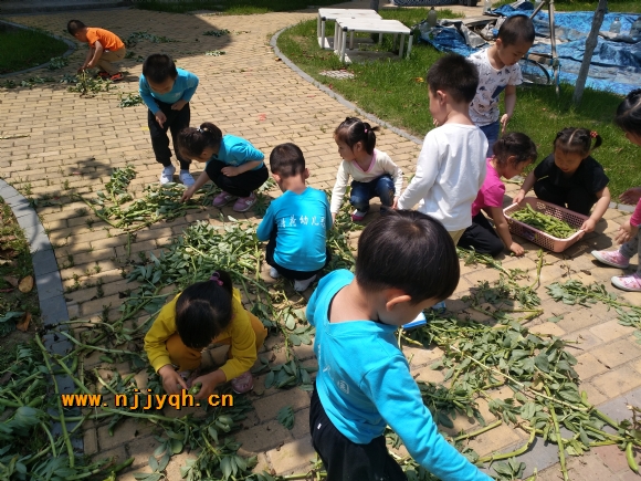 IMG_20180503_112804.jpg