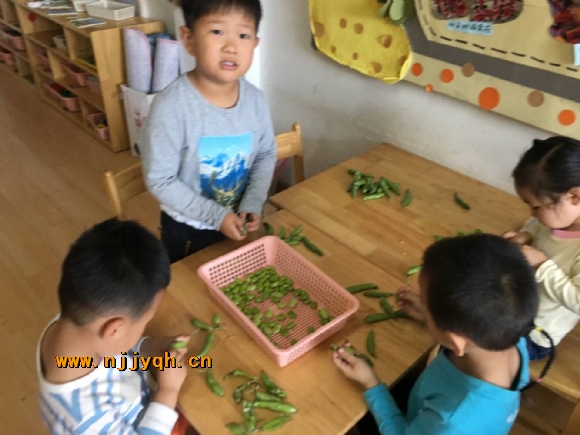 QQ图片20180503151749.jpg