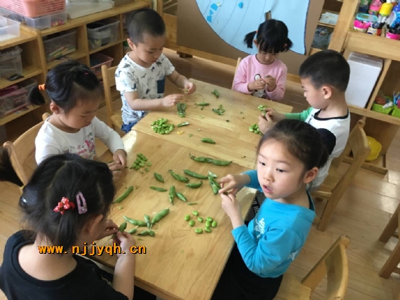 QQ图片20180503151729.jpg