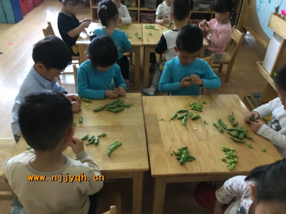 QQ图片20180503151736.jpg