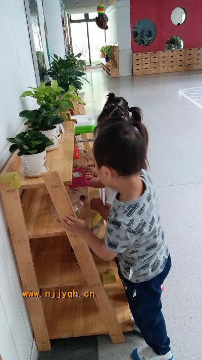 20180926_083712.jpg