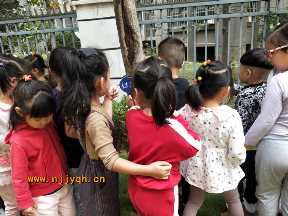 IMG20181009102945.jpg