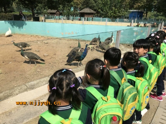 QQͼƬ20181015143556.jpg