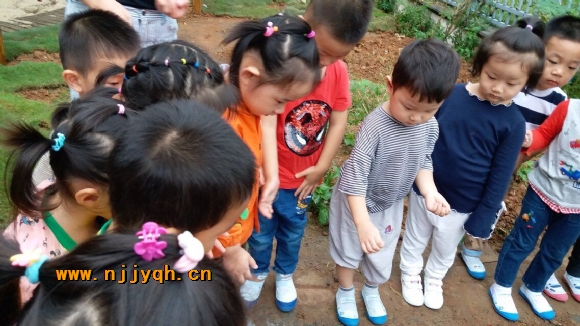 QQ图片20181023200604.jpg
