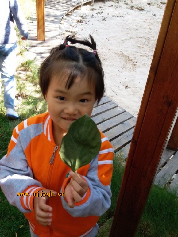 QQ图片20181029200124.jpg