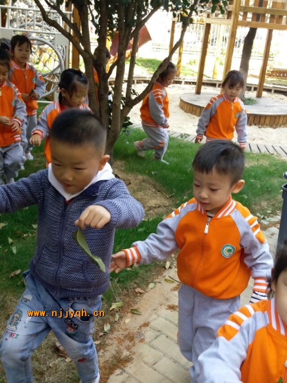 QQ图片20181029200115.jpg