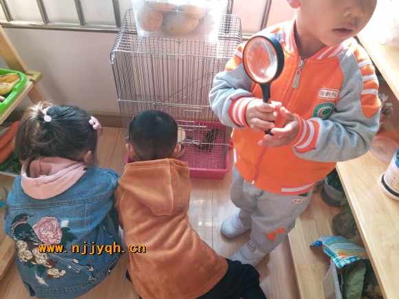 20181030_082632.jpg