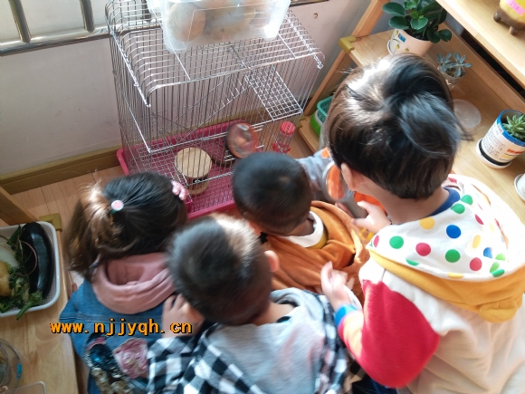 20181030_082642.jpg