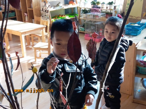 QQ图片20181119203055.jpg