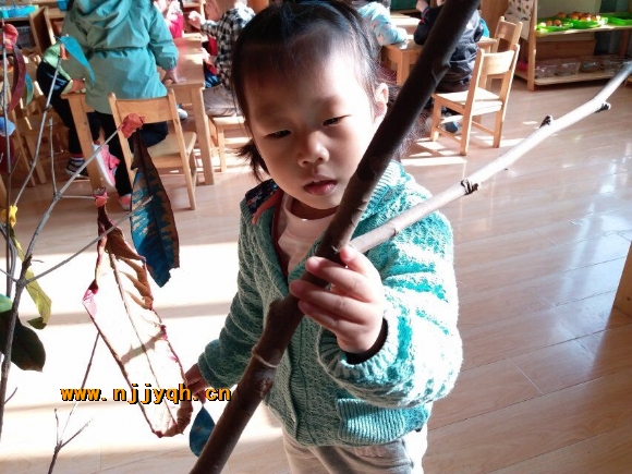 QQ图片20181119202943.jpg