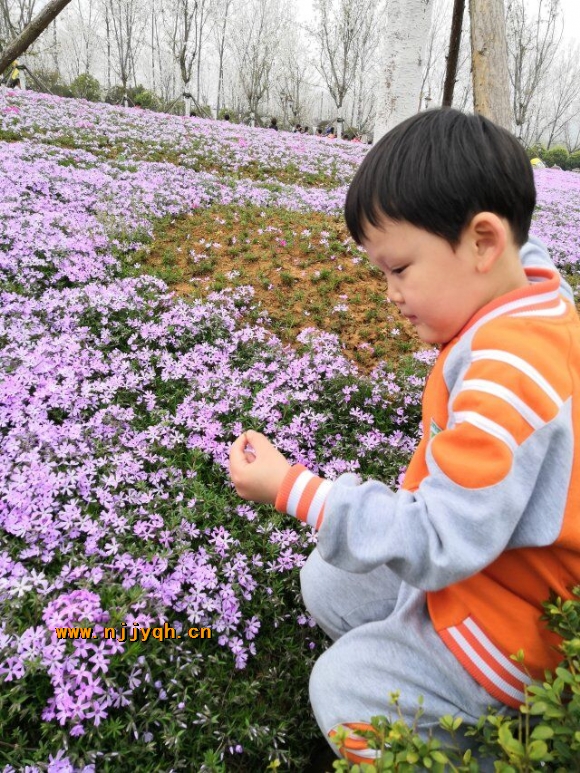 QQ图片20190330115612.jpg