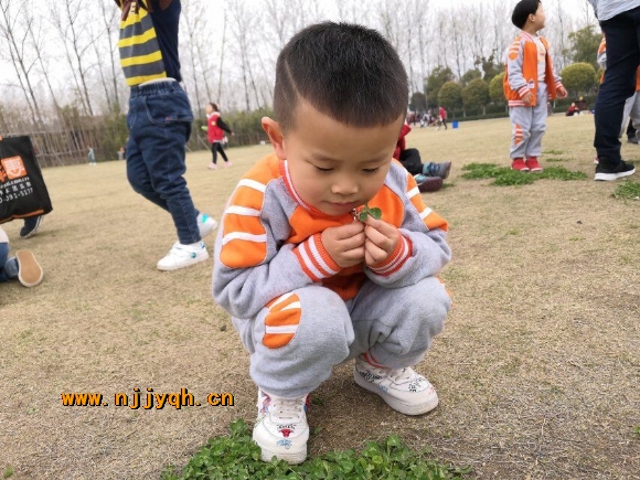 QQ图片20190330115627.jpg