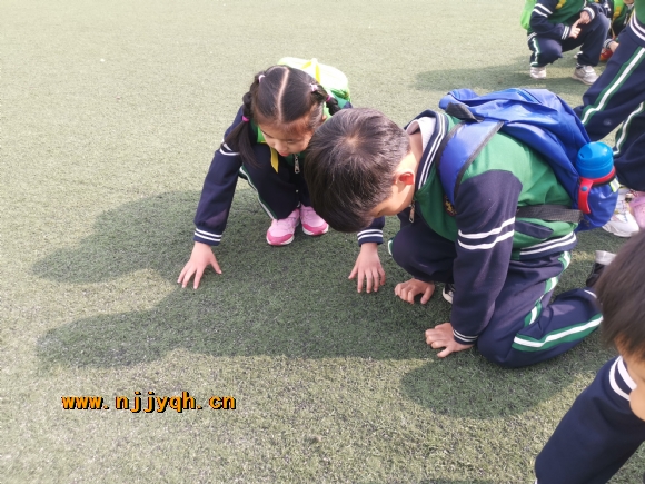 IMG_20190412_083924.jpg