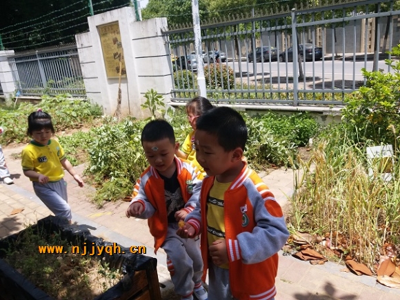 20190520_114348.jpg